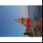 Catamaran Hobie Hobie CAT 16 Race LE Picture 3 